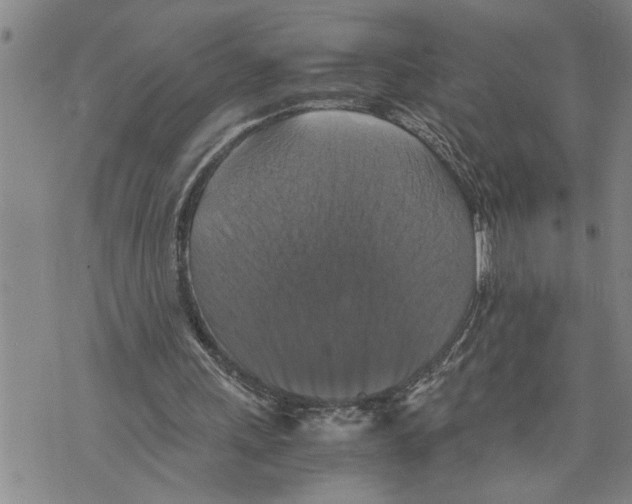 X0000075810243200610151437