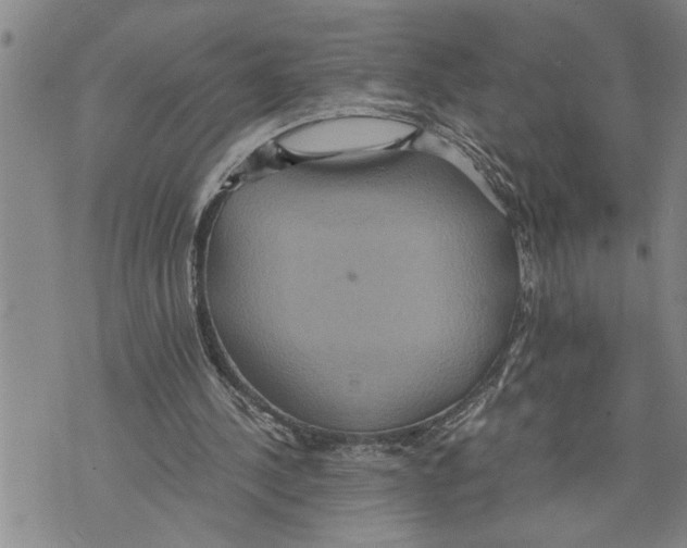 X0000075810244200610151437