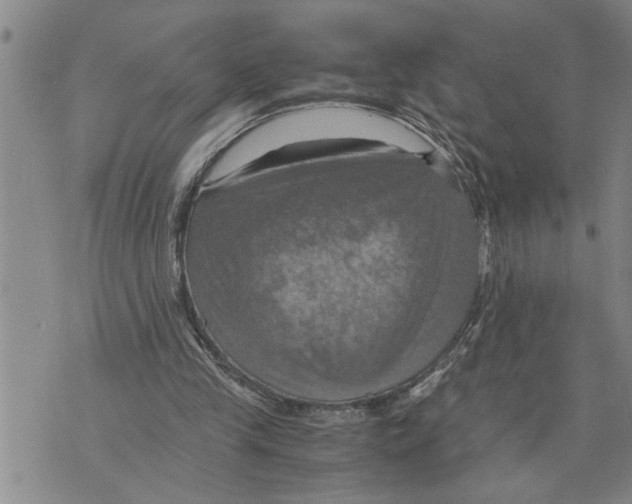 X0000075810245200610151437