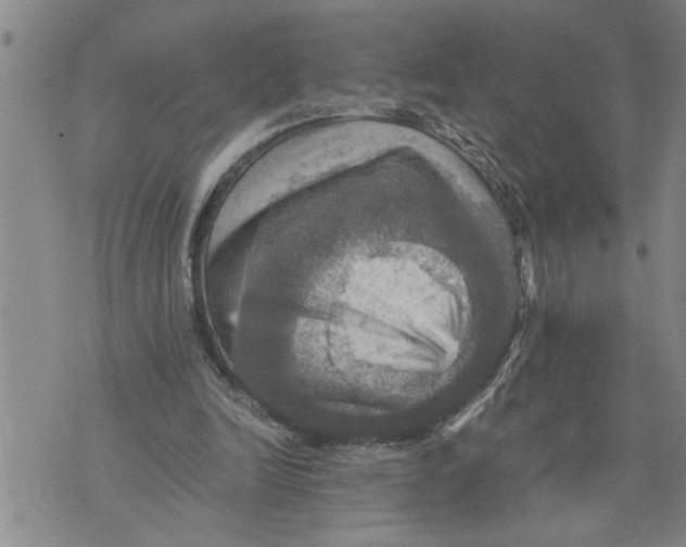 X0000075810246200610151437