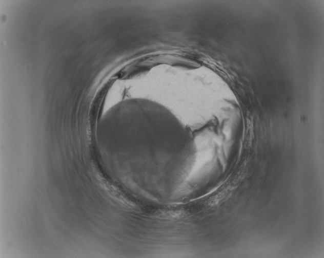 X0000075810247200610151437