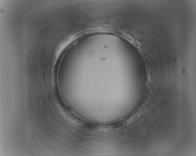 X0000075810248200610151437