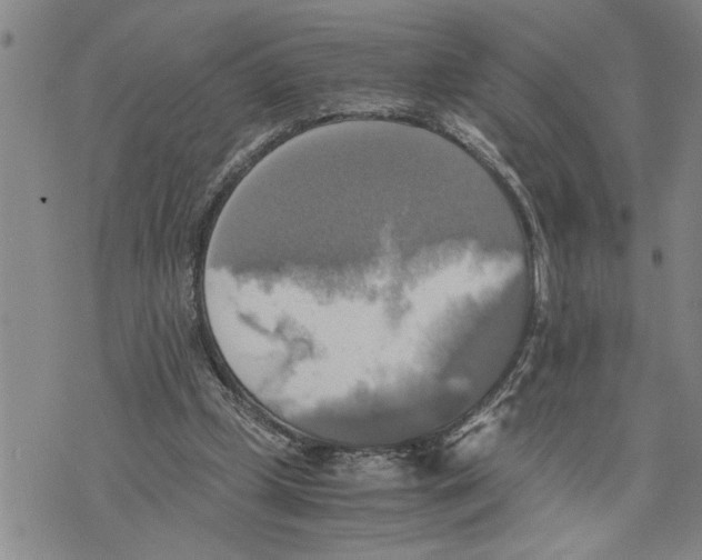 X0000075810249200610151437