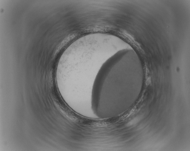 X0000075810250200610151437