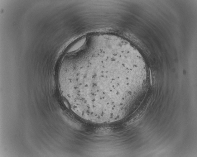 X0000075810252200610151437