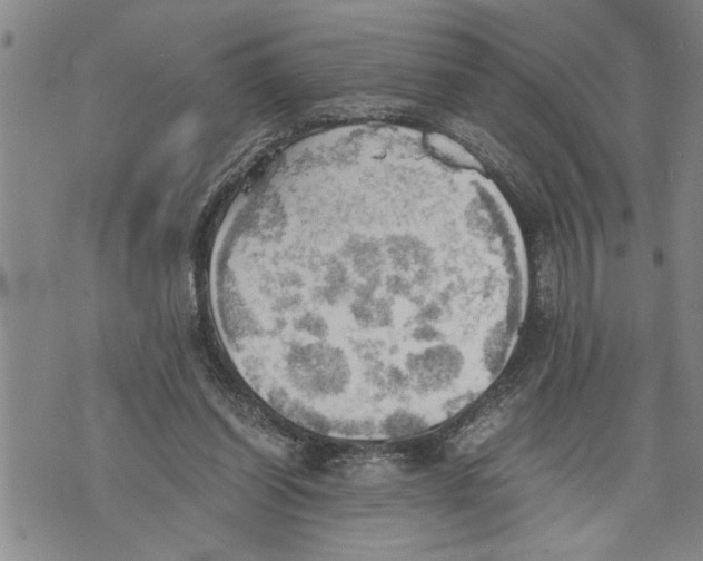 X0000075810254200610151437