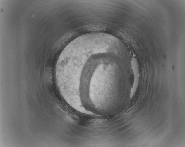 X0000075810255200610151437