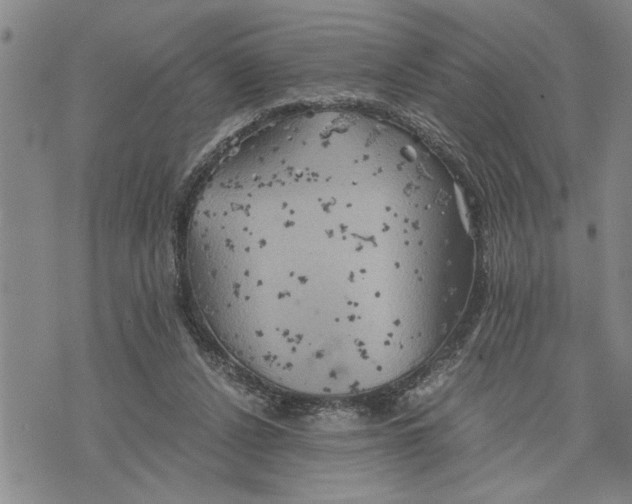 X0000075810256200610151437