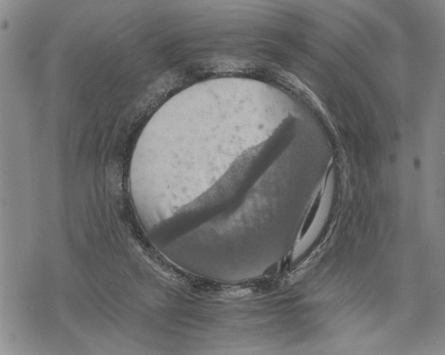 X0000075810257200610151437