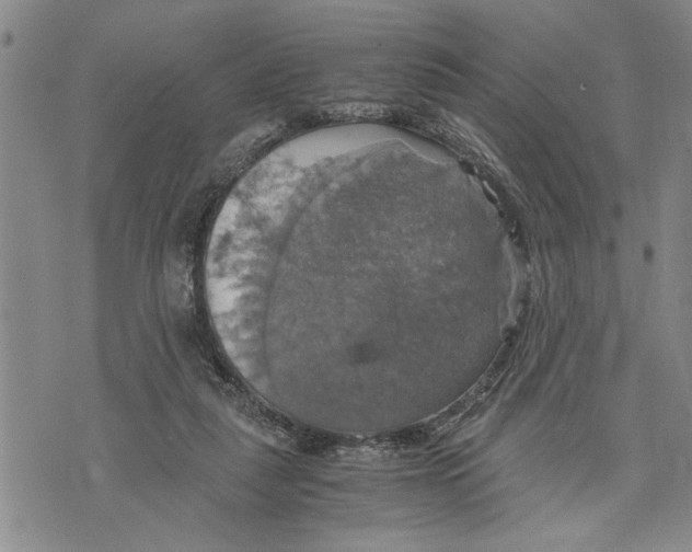 X0000075810259200610151437