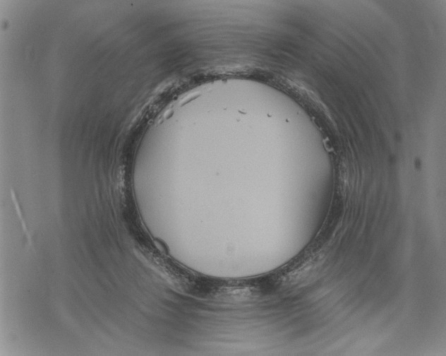 X0000075810260200610151437