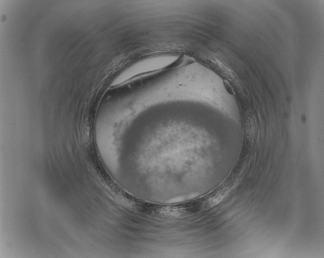 X0000075810261200610151437