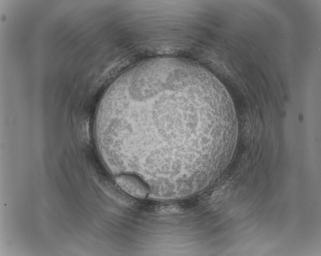 X0000075810262200610151437