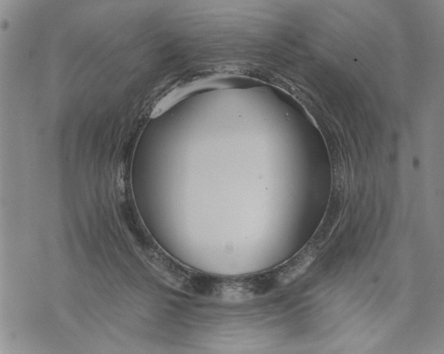 X0000075810264200610151437