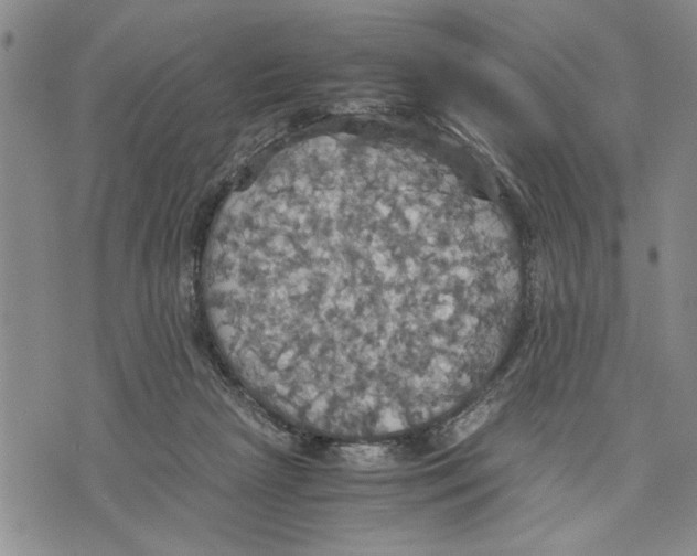 X0000075810265200610151437