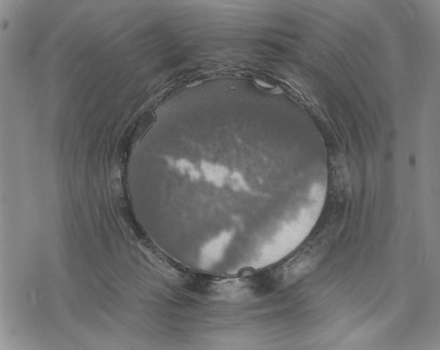 X0000075810269200610151437