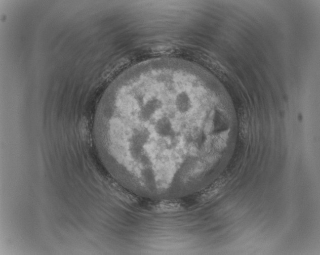 X0000075810270200610151437