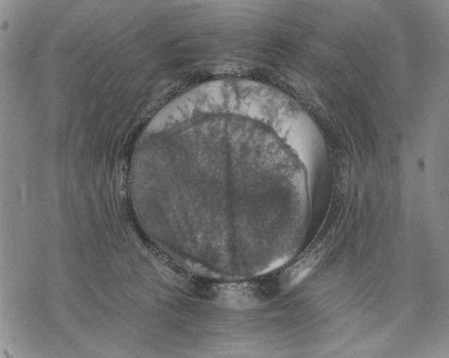 X0000075810273200610151437