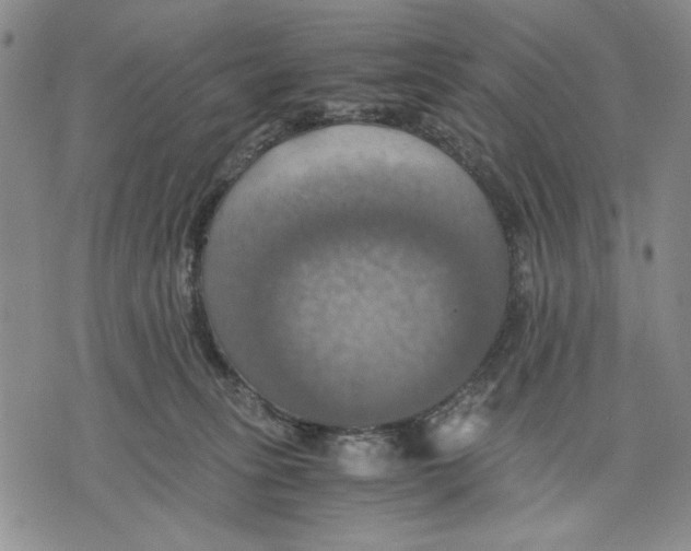 X0000075810275200610151437