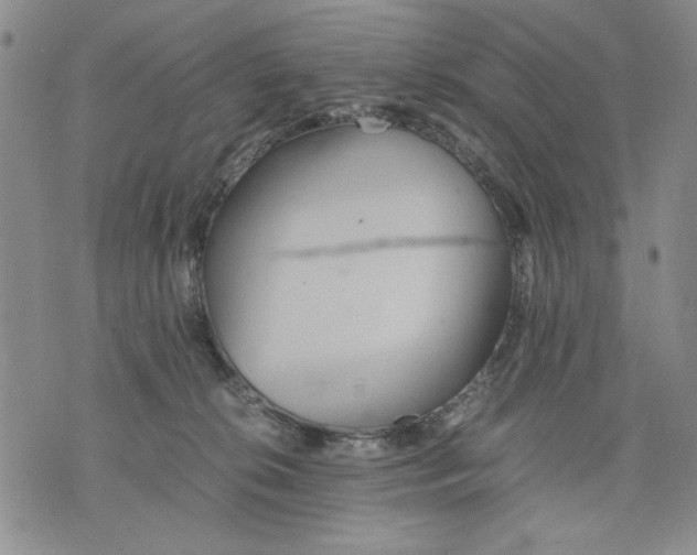 X0000075810276200610151437