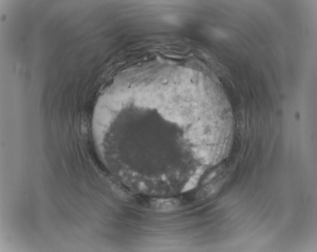 X0000075810277200610151437