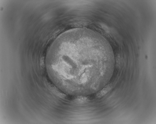 X0000075810278200610151437