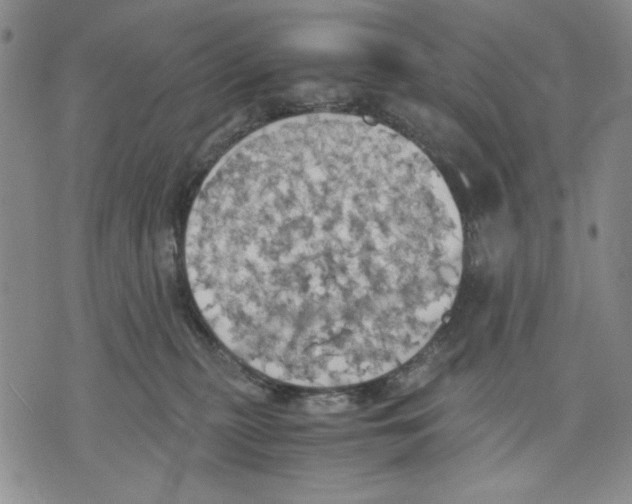 X0000075810279200610151437