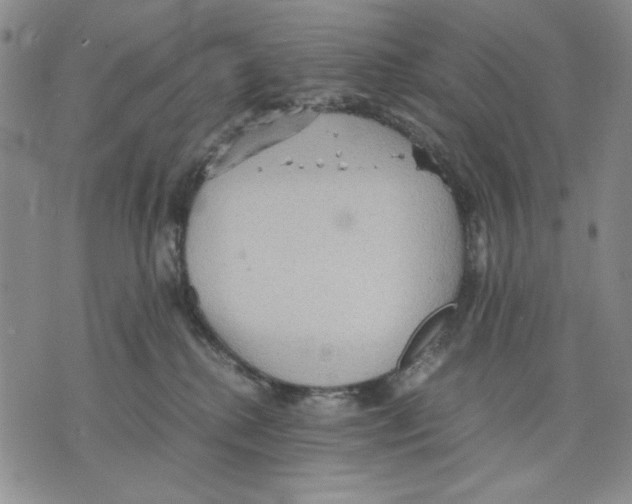 X0000075810280200610151437