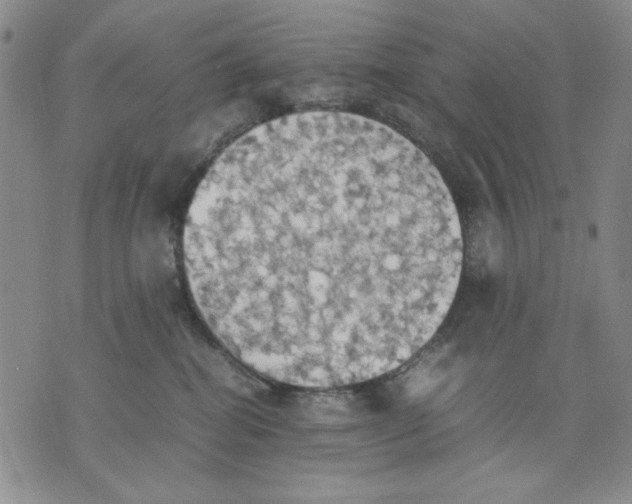 X0000075810282200610151437