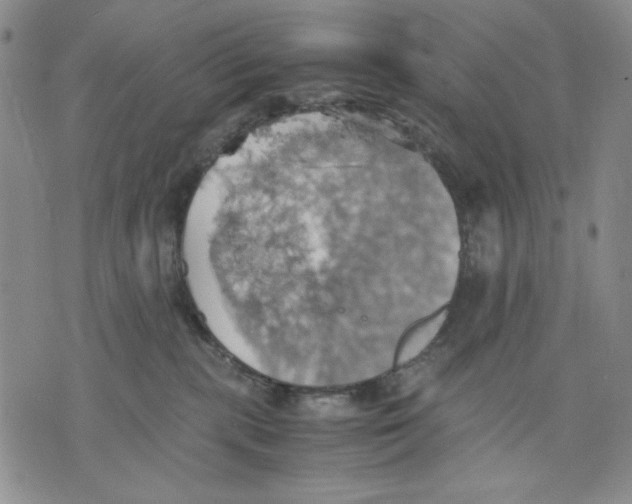 X0000075810283200610151437