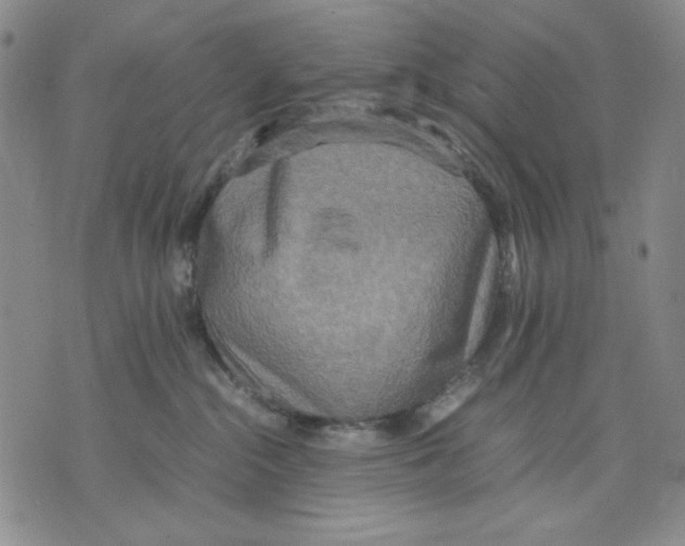 X0000075810284200610151437