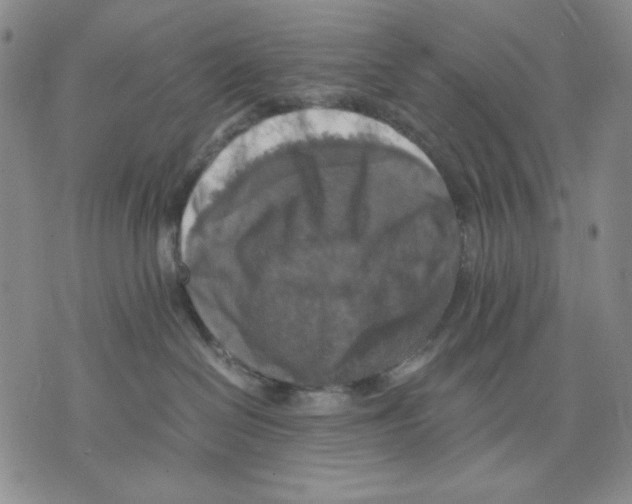 X0000075810286200610151437