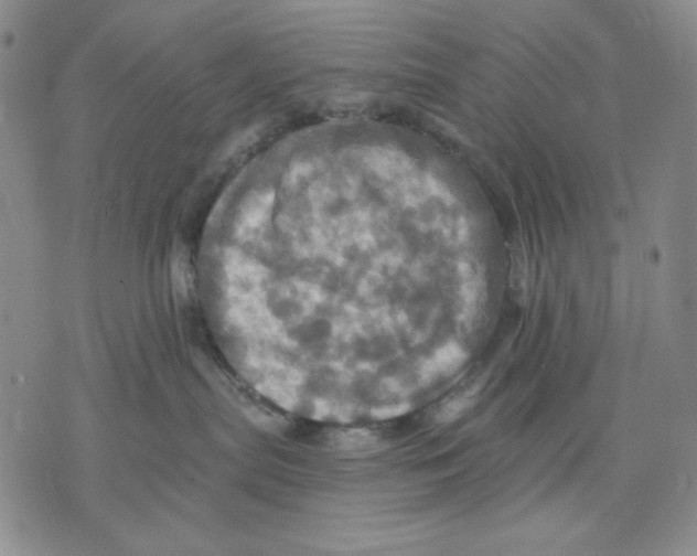 X0000075810287200610151437