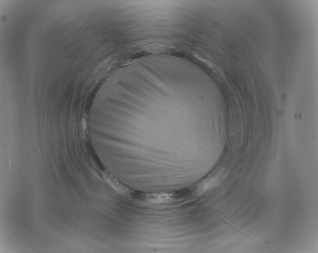 X0000075810288200610151437