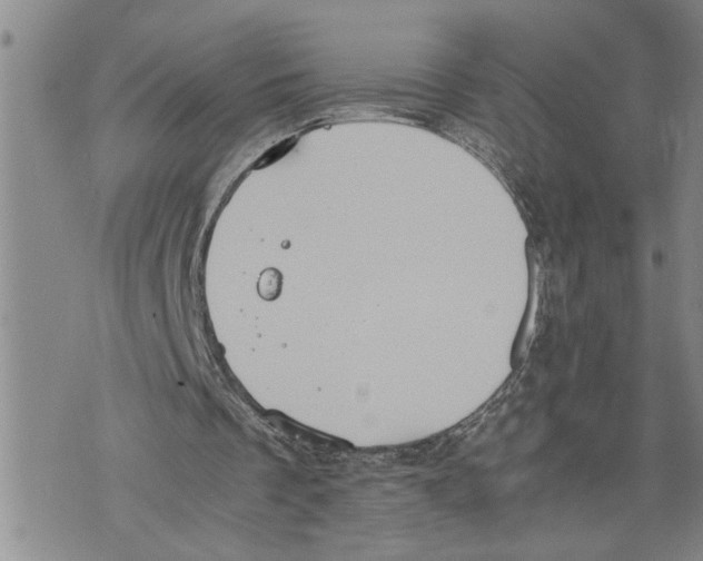 X0000075810289200610151437