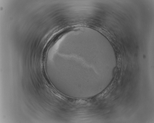 X0000075810290200610151437