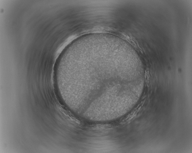 X0000075810292200610151437