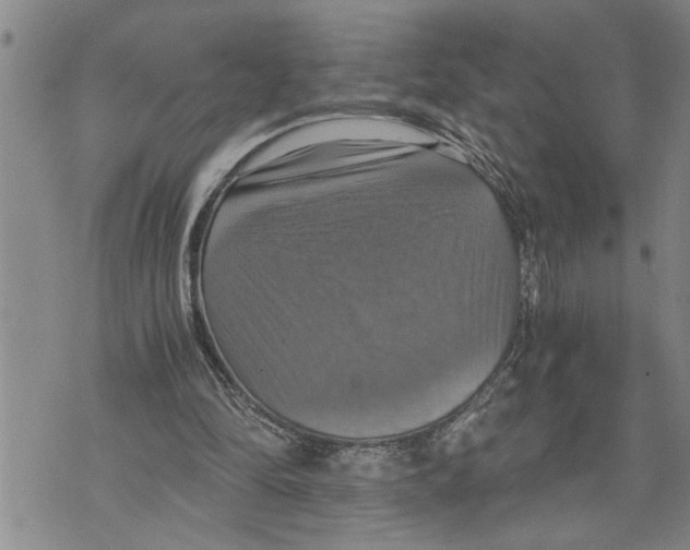 X0000075810294200610151437