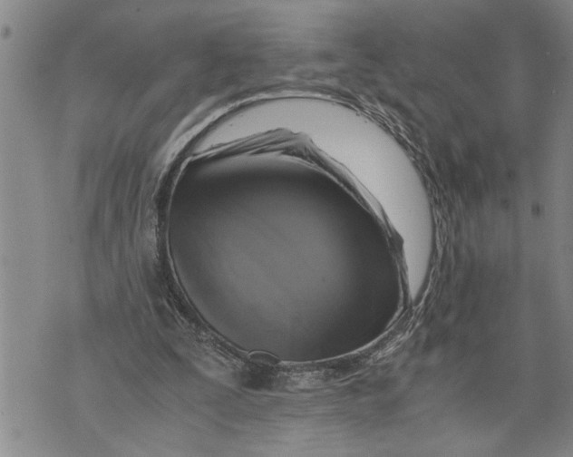 X0000075810295200610151437