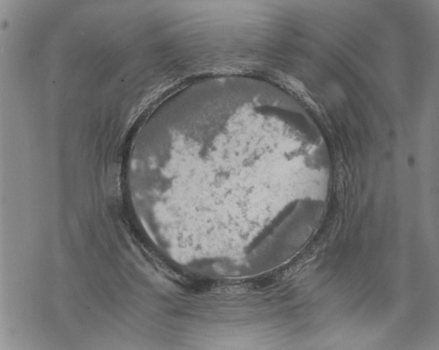 X0000075810299200610151437