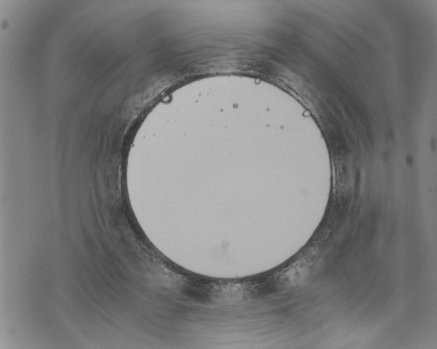 X0000075810301200610151436