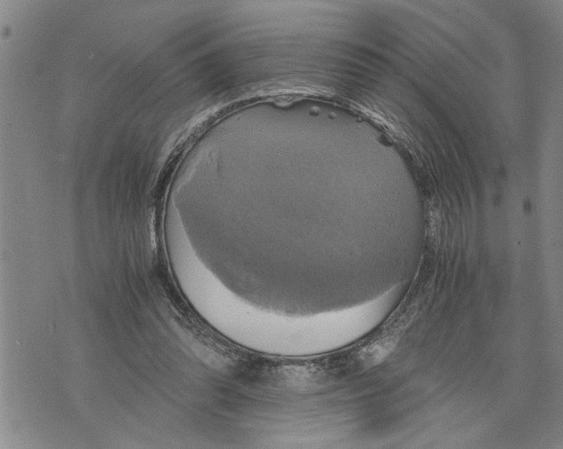 X0000075810302200610151436