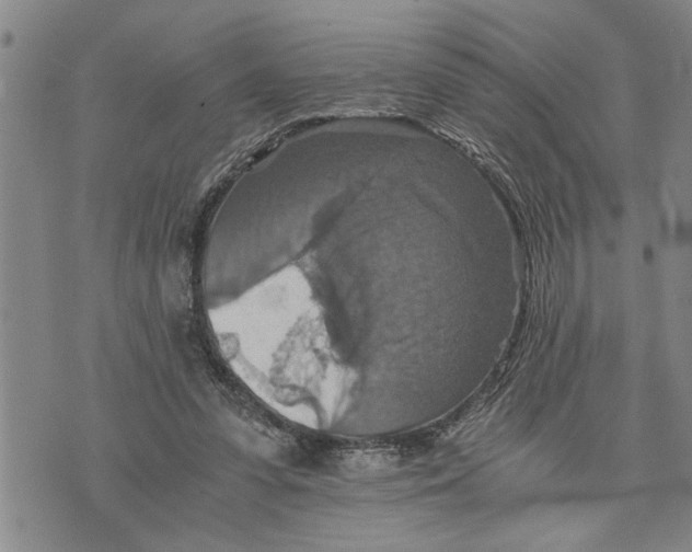 X0000075810303200610151436