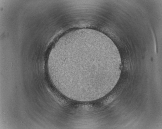 X0000075810304200610151436