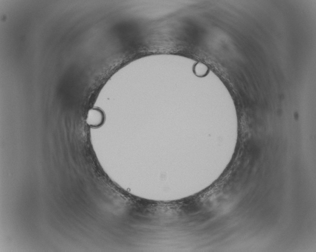 X0000075810305200610151436