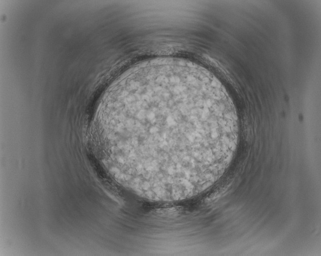 X0000075810307200610151436