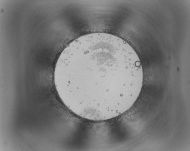 X0000075810309200610151436