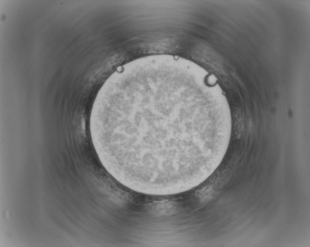 X0000075810310200610151436