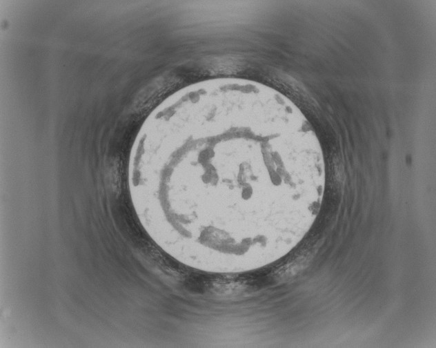 X0000075810311200610151436