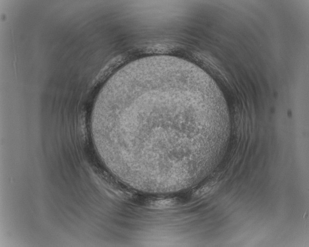 X0000075810312200610151436